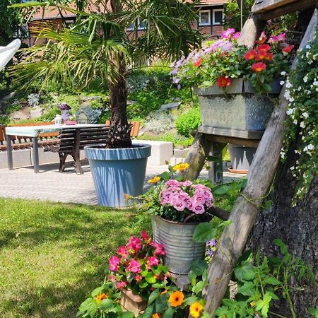Apartment Im Gruenen Mit Anbindung Ans Zentrum 에르푸르트 외부 사진