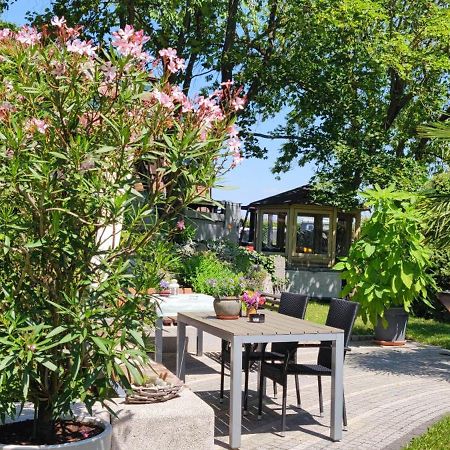 Apartment Im Gruenen Mit Anbindung Ans Zentrum 에르푸르트 외부 사진