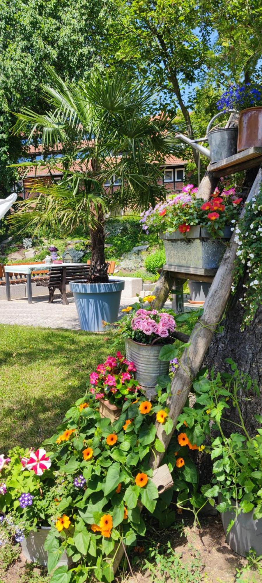 Apartment Im Gruenen Mit Anbindung Ans Zentrum 에르푸르트 외부 사진