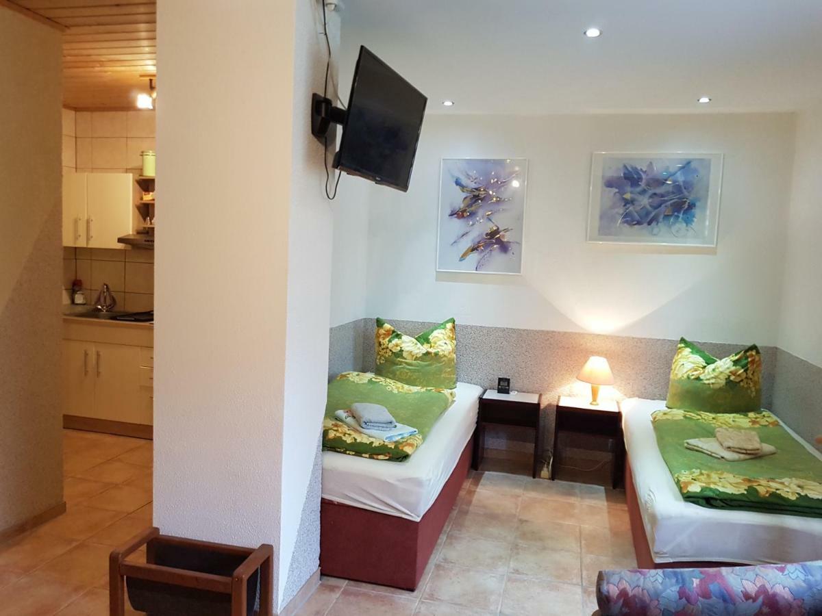 Apartment Im Gruenen Mit Anbindung Ans Zentrum 에르푸르트 외부 사진